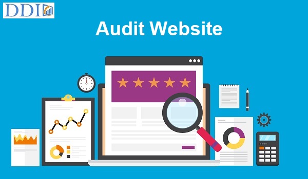 Audit Website là gì?