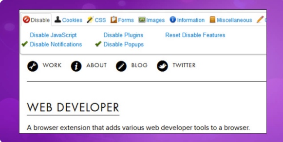 Web Developer